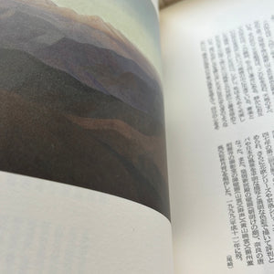 Nihonga of 100 years The Exhibition of Japanese paintings 100 years Book