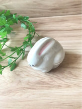 Load image into Gallery viewer, Kawaii Bunny Mamezara with Lid Very small size container Jam Sauce Butter Ketchups Pin Cushion Accessories Case
